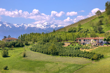 Hills of Piedmont. Northern Italy.