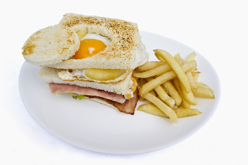 Sandwich especial con papas fritas