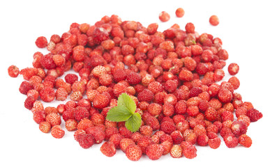 Delicious wild strawberries