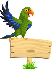 Obraz premium Green parrot with blank signboard