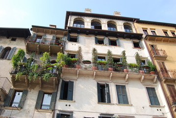 Fototapeta na wymiar green plants on Verona's balconies