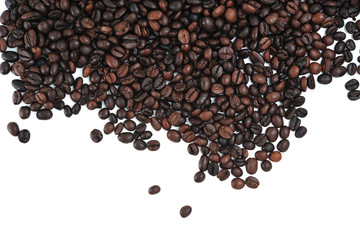 Coffee Bean
