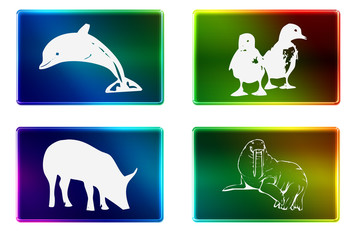 Rectangulo imagenes animales © darco2010