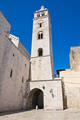 Fototapeta na wymiar Cathedral of Barletta. Puglia. Italy.