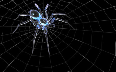 Glass spider on the cobeweb