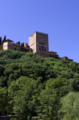 Fototapeta na wymiar Ściany Alhambra.