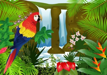 Gartenposter Ara-Vogel mit Wasserfall-Hintergrund © idesign2000