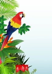 Macaw bird in the tropical forest