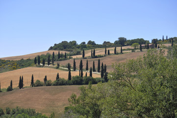 paesaggio toscano