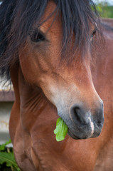 Do i have something in my teeth?