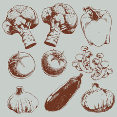 food and vegetables sketch background