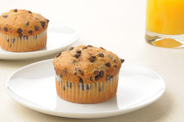 chocolate chip muffin