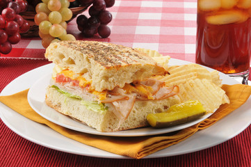 Turkey panini with potato chips