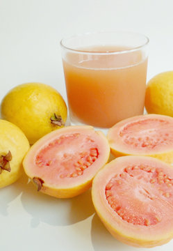 Guava (Psidium guajava)