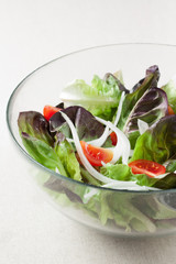 salad with lettuce, tomato and onion