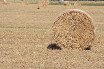 hay roller - balla di fineo