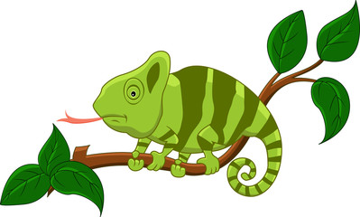 chameleon cartoon