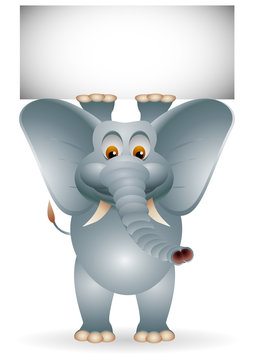 funny elephant cartoon with blank sign