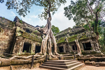 Ta Prohm Temple, Angkor, Cambodia © Kushch Dmitry