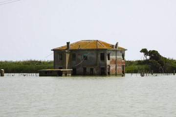 Obraz premium Delta del Po, Valle Batteria