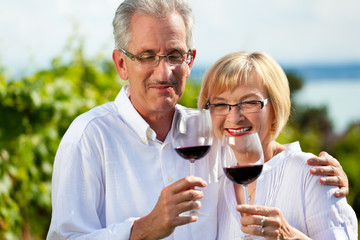 Glückliches Paar trinkt Wein am See im Sommer