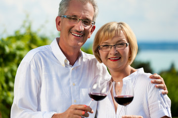 Glückliches Paar trinkt Wein am See im Sommer