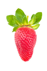 Strawberry with leaves