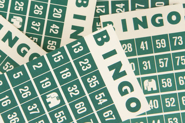Green bingo cards isolated
