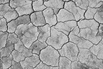 Dry soil background