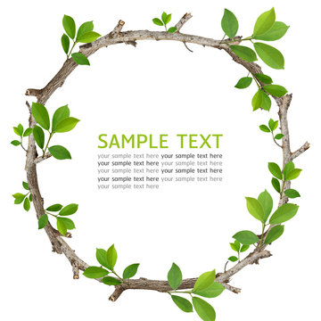 Twig and green leaf frame isolated on white background.