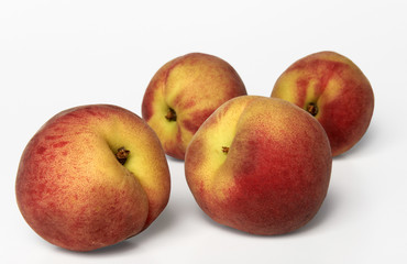 pesche