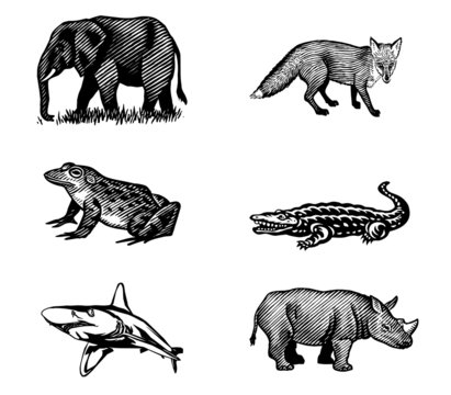 Animaux vari&eacute;s