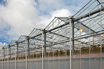 Sideview of a greenhouse in The Netherlands