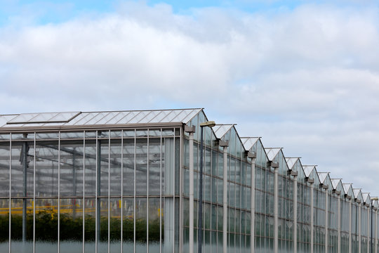 Corner view of a greenhouse