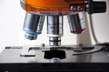 Microscopio