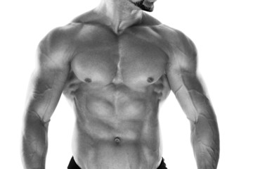 Fototapeta na wymiar Muscular male torso isolated on white