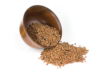 Lentil