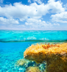 Fototapeta na wymiar Ibiza Formentera podwodny wodnicy blue sky
