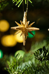 Decorative Gold star ornament