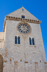 Fototapeta na wymiar Katedra w Trani. Puglia. Włochy.