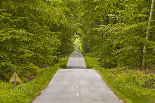 The winding road that leads to Lyons-la-Foret.