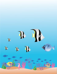 Sea Life background