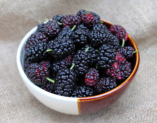 Black mulberries in a bowl