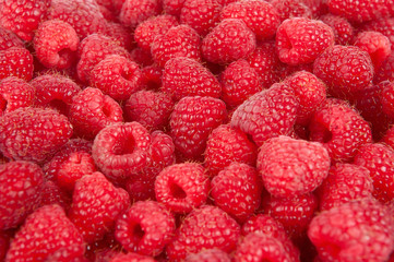 Sweet fresh raspberry fruit