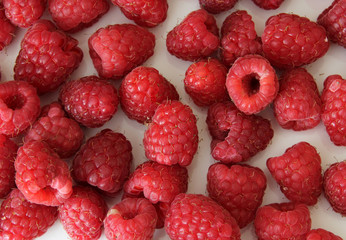 frische Himbeeren