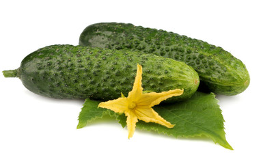 Cucumber with flower