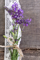 Lavendel der Provence