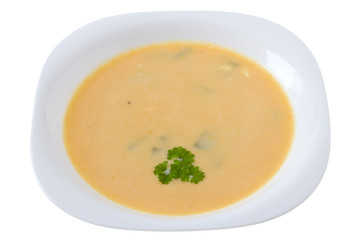 vegetable soup with parsley in white plate