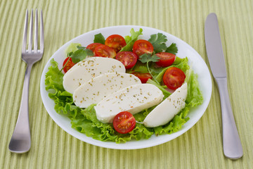 cheese mozzarella with tomato cherry on the plate