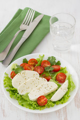 cheese mozzarella with tomato cherry on the plate